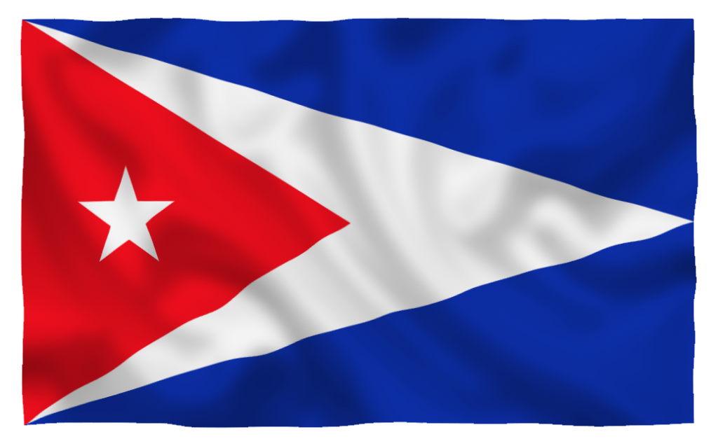 2 Eyelets Guyana 5ft x 3ft Flag Guyanese National Flag South America American 